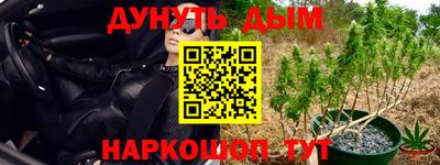 стаф Пыть-Ях