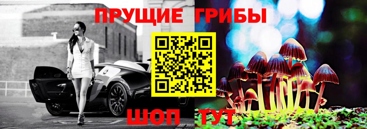Серпухов  Галлюциногенные грибы GOLDEN TEACHER  Вход с VPN  Галлюциногенные грибы Magic Shrooms 